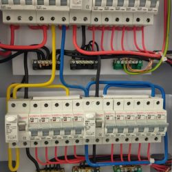 WhatsApp Image 2025-01-28 at 08.00.57 (2)